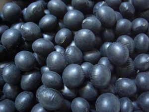 ノムダスで便秘解消